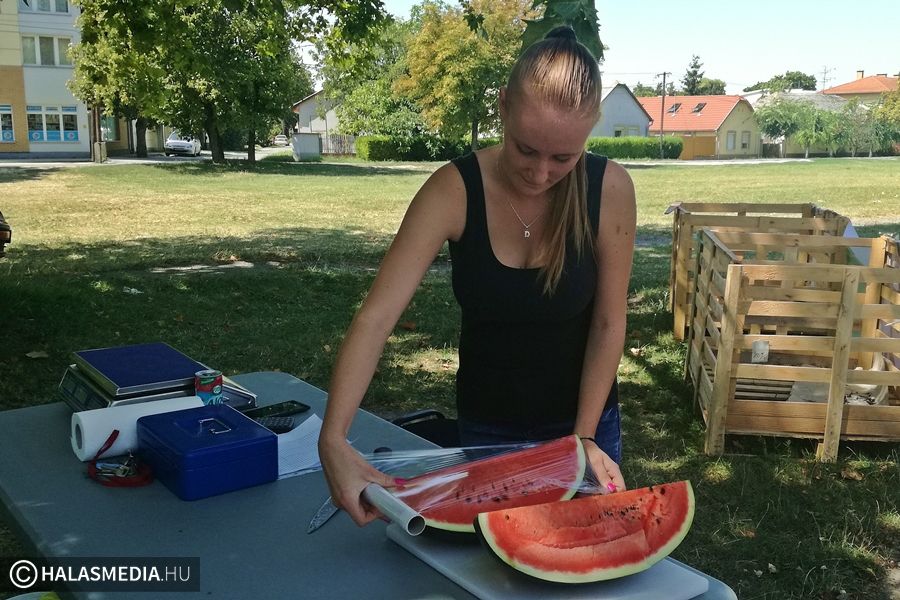 (►) Jól fogy a dinnye Halason