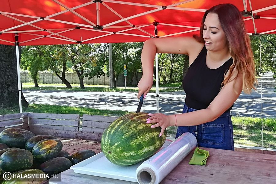 Egyre drágább a dinnye