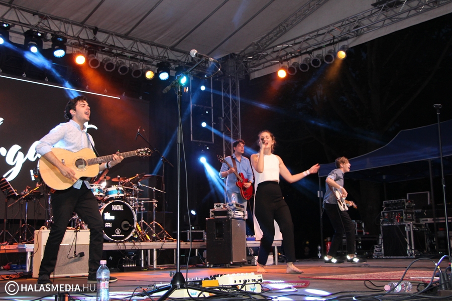 Sörfesztivál sztárzenekarokkal