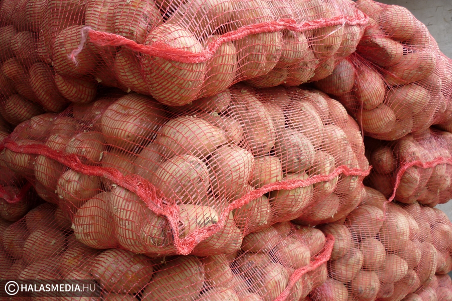 Jönnek a Burgonya Napok