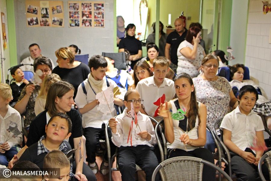 Noé bárkája az EGYMI-ben (galéria)