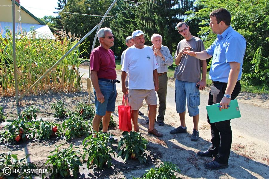 Gondot okozott a kertekben az aszály