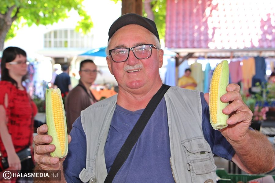 Ízletes kukoricát kínálnak a termelők