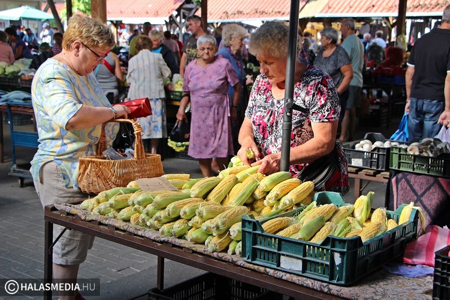 Korántsem ért véget a csemegekukorica szezonja
