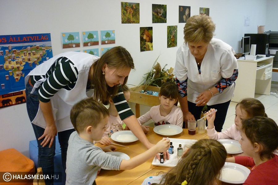 Örökös Zöld Óvoda lett a Bóbita ovi