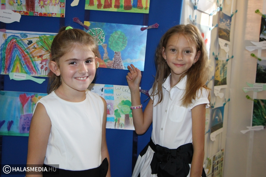 Fák, virágok, fények