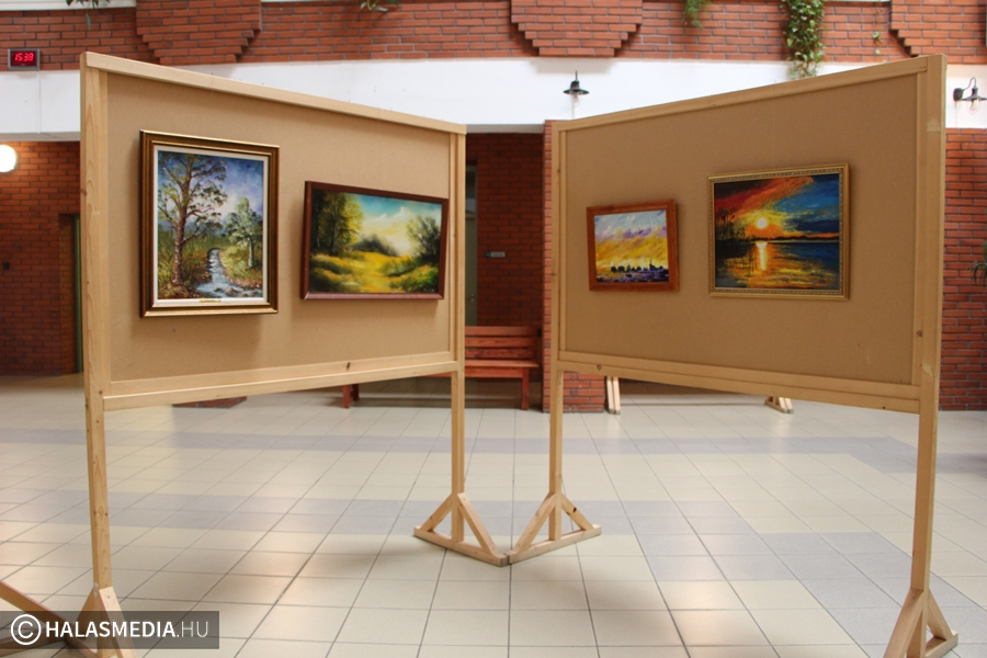 Aukciós képek Halason