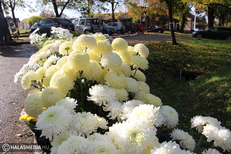 Széles virágkínálat Halottak napjára