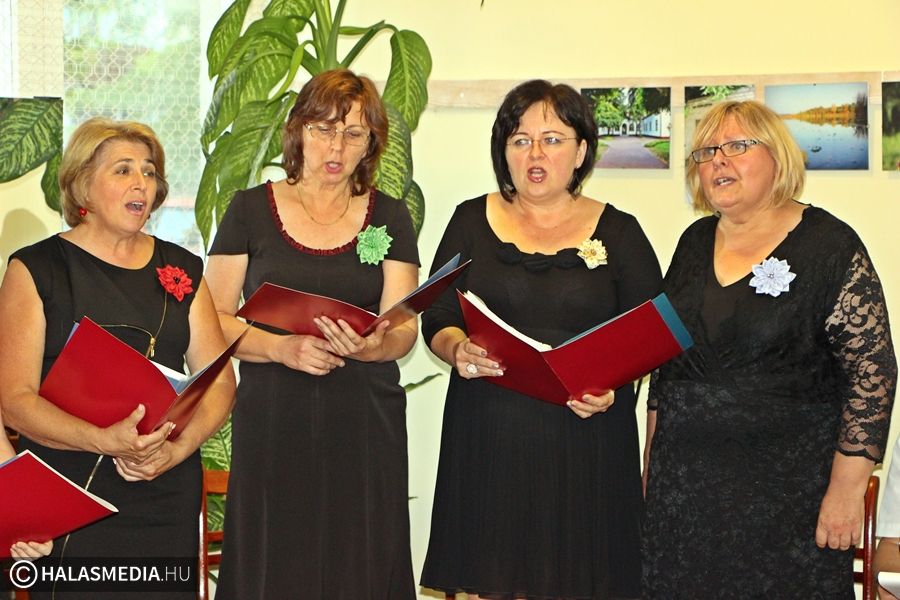 Versek dallamok szárnyán (galéria)