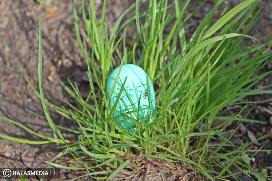Húsvéti tojáskeresés lesz a Csetényi Parkban
