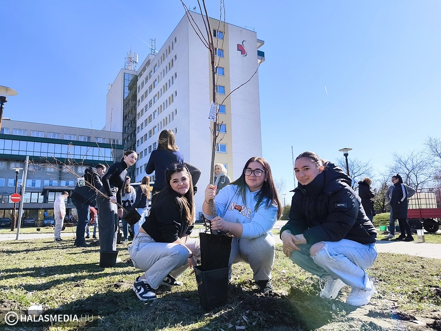 (►) Összefogtak a civilek, fákat ültettek a kórházhoz
