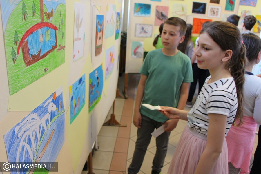 Zöld kiállítás díjazással