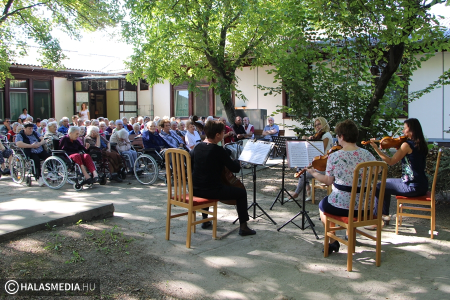 Kamarazene az Idősek Otthonában