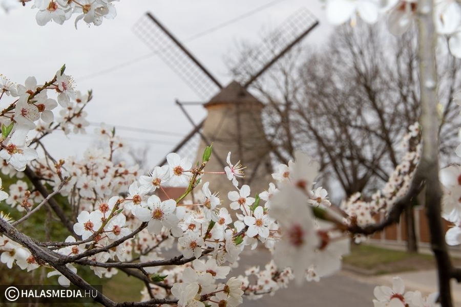 Kiskunhalas tavasszal is gyönyörű