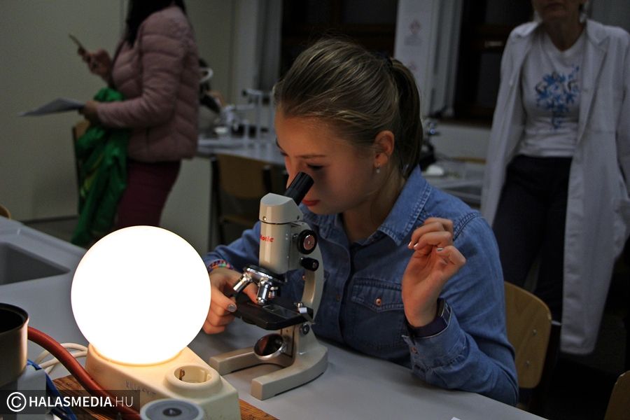 Huszonöt helyszínen zajlott a Kutatók éjszakája