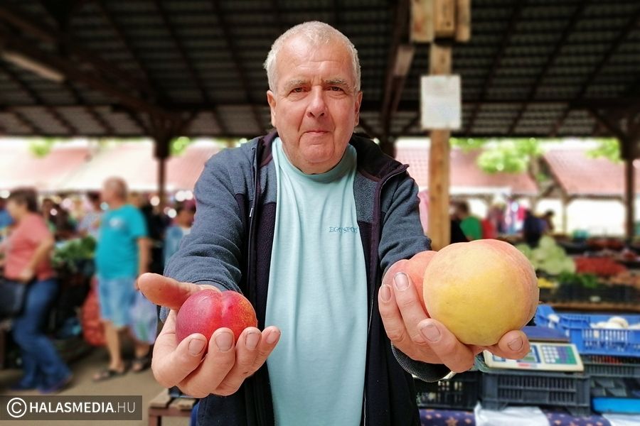 „Tavaly minden szebb és finomabb volt”