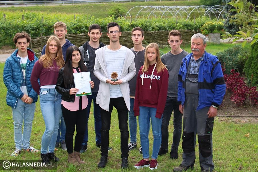 Országos díjat nyert a Tekó tankertje