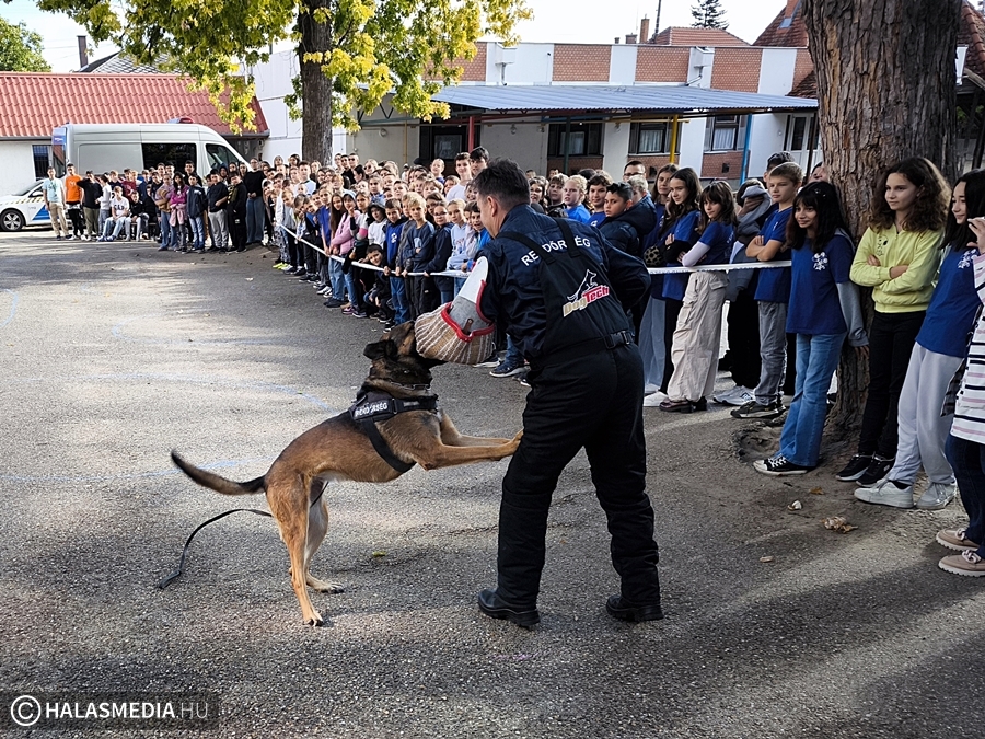 (►) Különleges állatbemutatók az iskolaudvaron