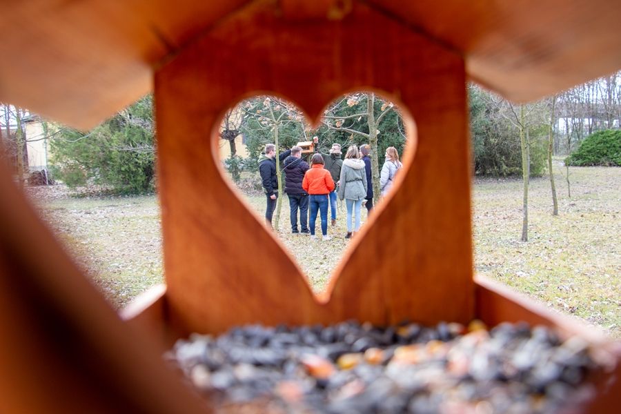 Madáretetőket készítettek a tekósok