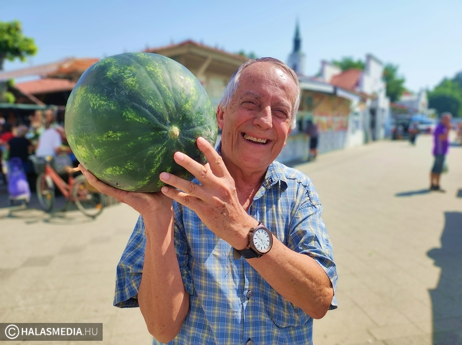 (►) Jól fogy a halasi piacon a mézédes dinnye
