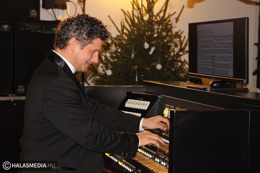 Orgonavarázs – Christmas