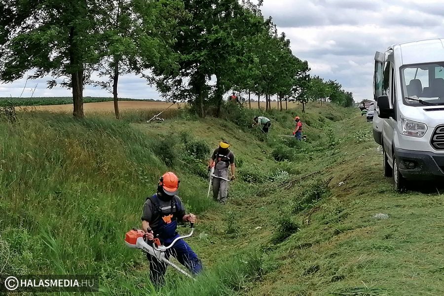 Összefogtak a kisszállásiak, megszépült a bekötőút környéke