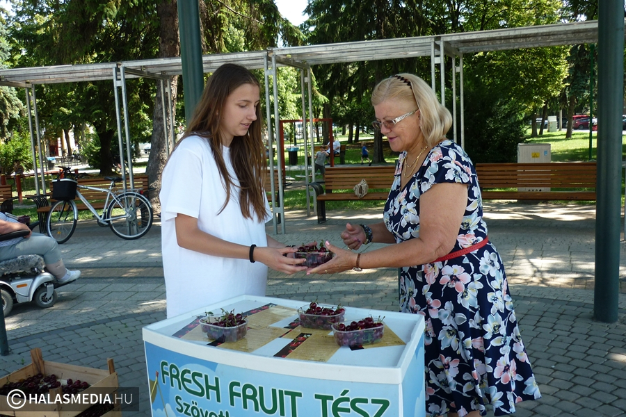 Meggykóstolás volt Halas főterén 