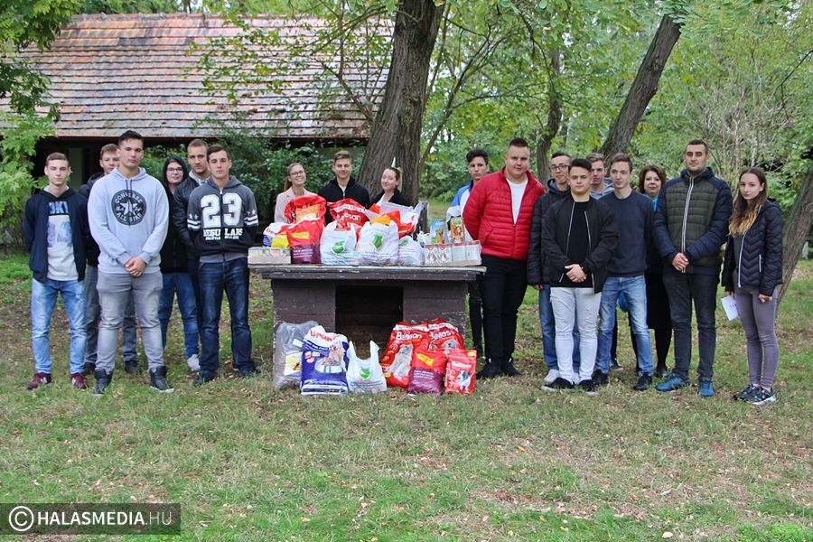 Állateledelt gyűjtöttek a tekósok