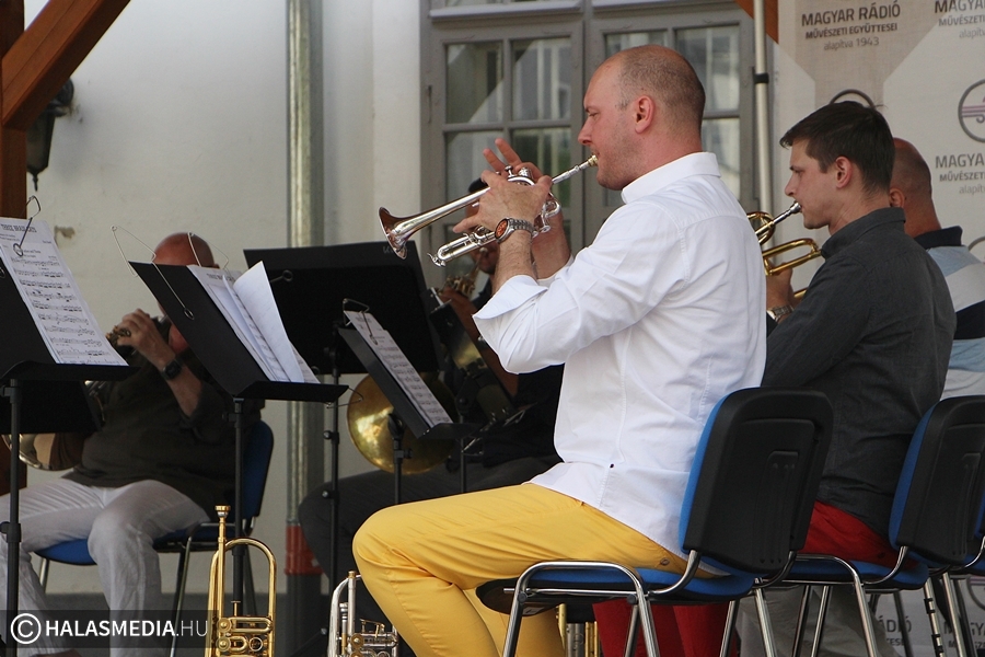 Neves művészek muzsikáltak Halason