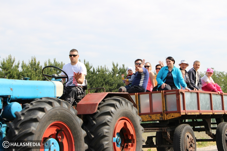 (►) Startolt a buckajárás (galéria)