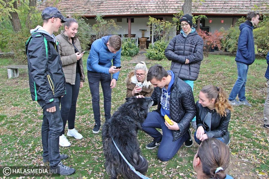 Windsor tekós gazdákra lelt