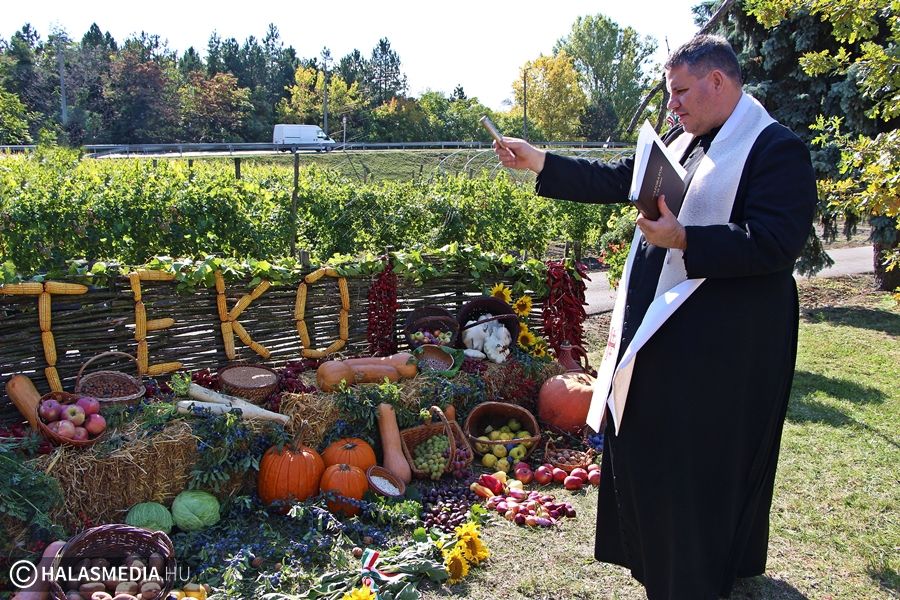 Terményáldás a Tekó tankertjében