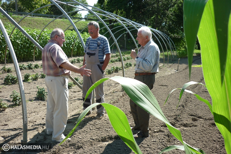 Zsűrizik a versengő konyhakerteket
