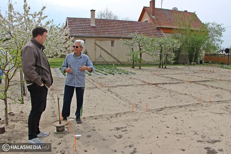 Kié lesz a legszebb konyhakert?