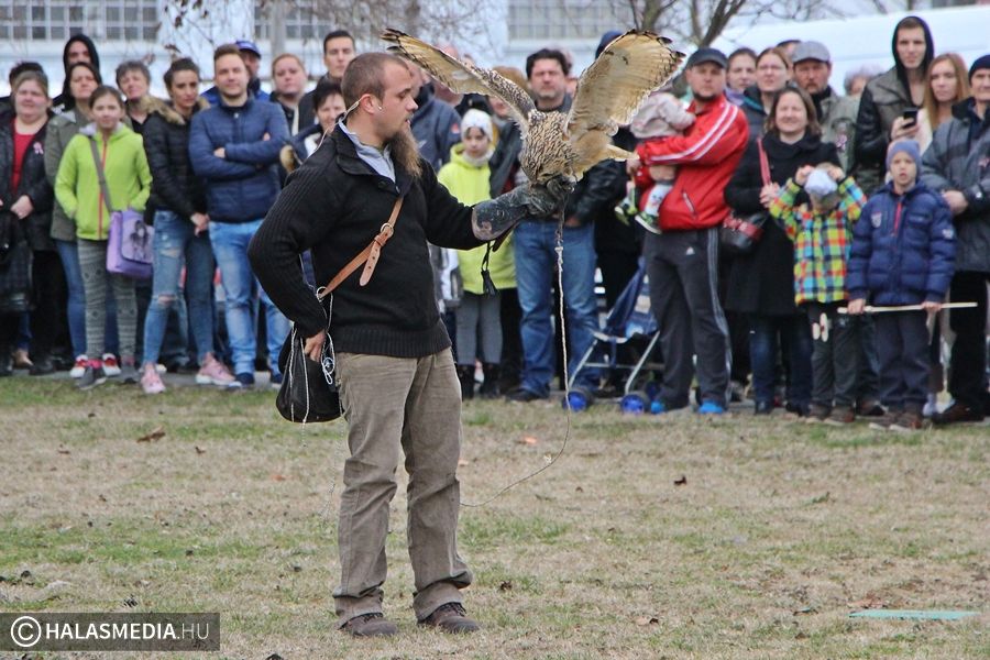 Szállj, szállj sólyom szárnyán... (galéria)
