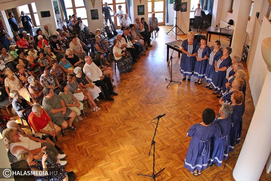 (nem) Zenélő Szélmalom