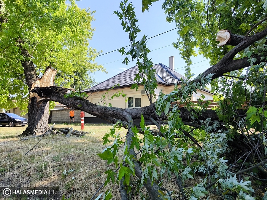 (►) Durván lecsapott a vihar Halasra
