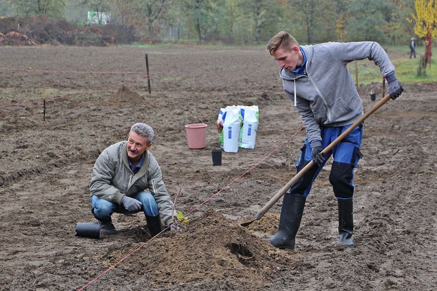 (►) Fa fajtamentés Tekó módra 