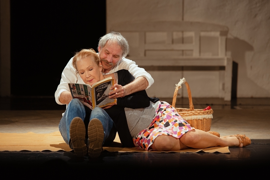 Négy boldog nap története