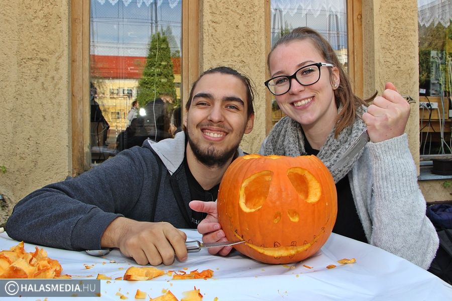Tökös nap a Tekóban