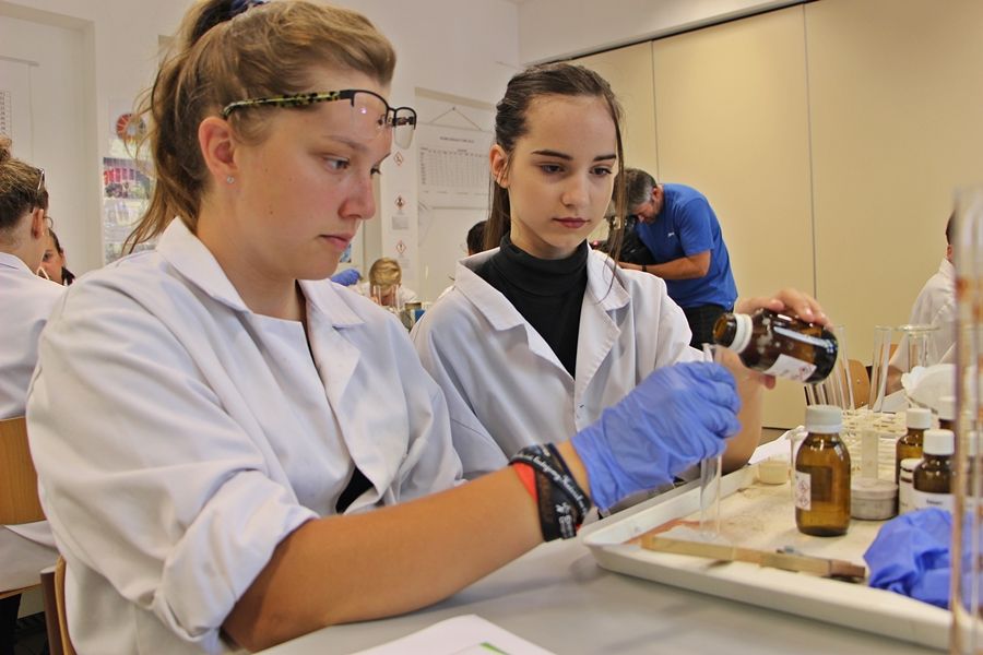 Kísérletek borral, musttal