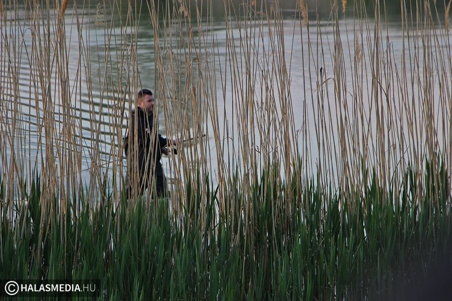 Békakoncert a Sóstó partján
