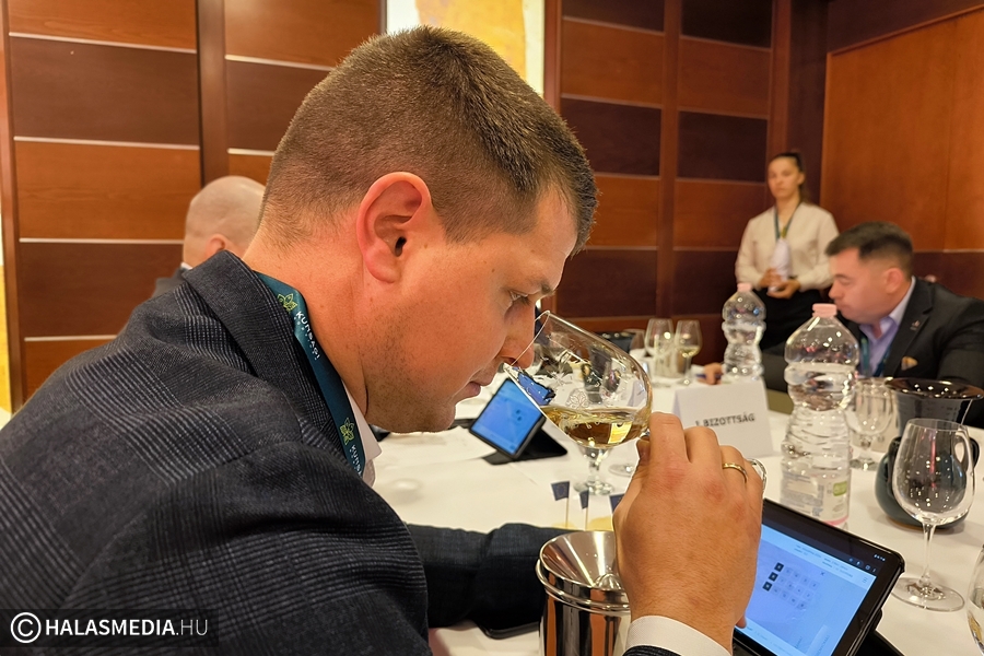 (►) Több mint 200 nedű versengett a legjobbaknak járó címért