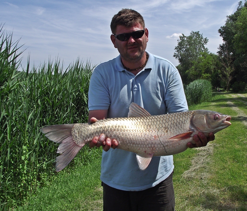Sportkalendárium: 2014. június