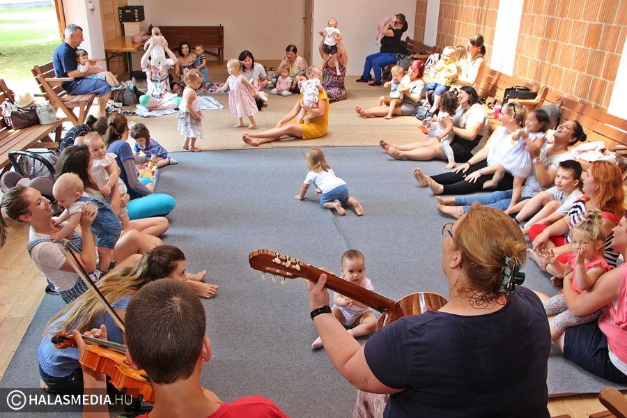 Ezek voltak a legolvasottabb cikkek a halasmedia.hu-n júliusban