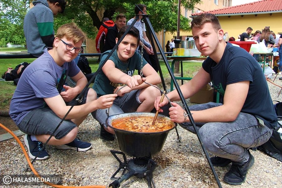 Napsütés, kaja, buli, Tekó