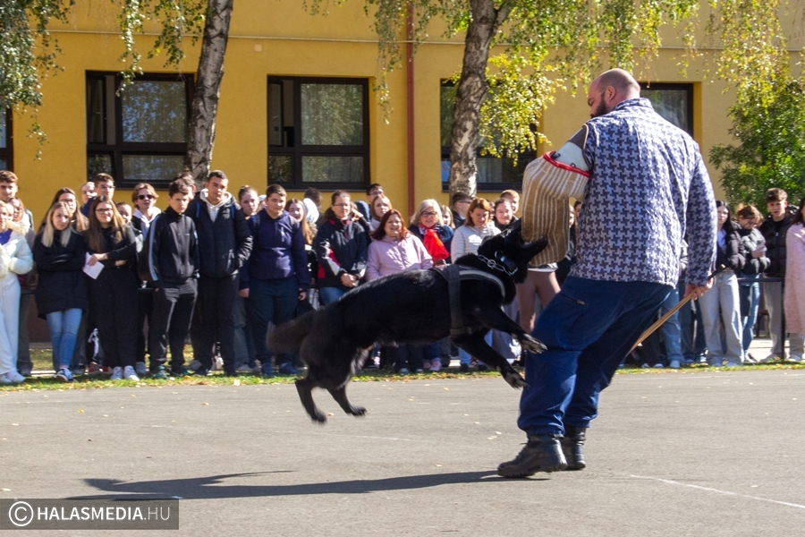 Állatok világnapja a Tekóban
