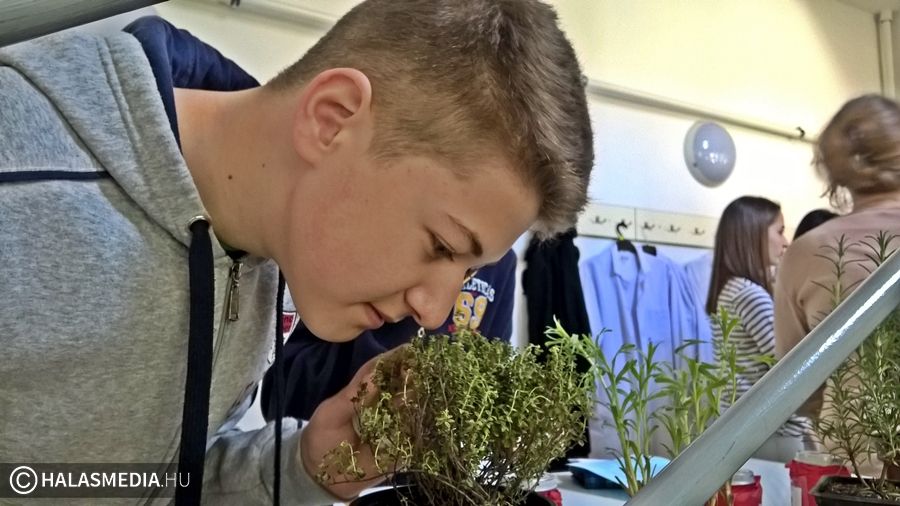 A reformáció korára emlékeztek