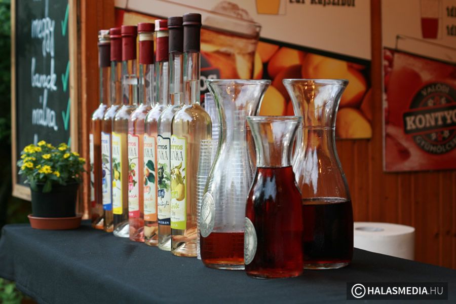 Megnyílt a borudvar (galéria)