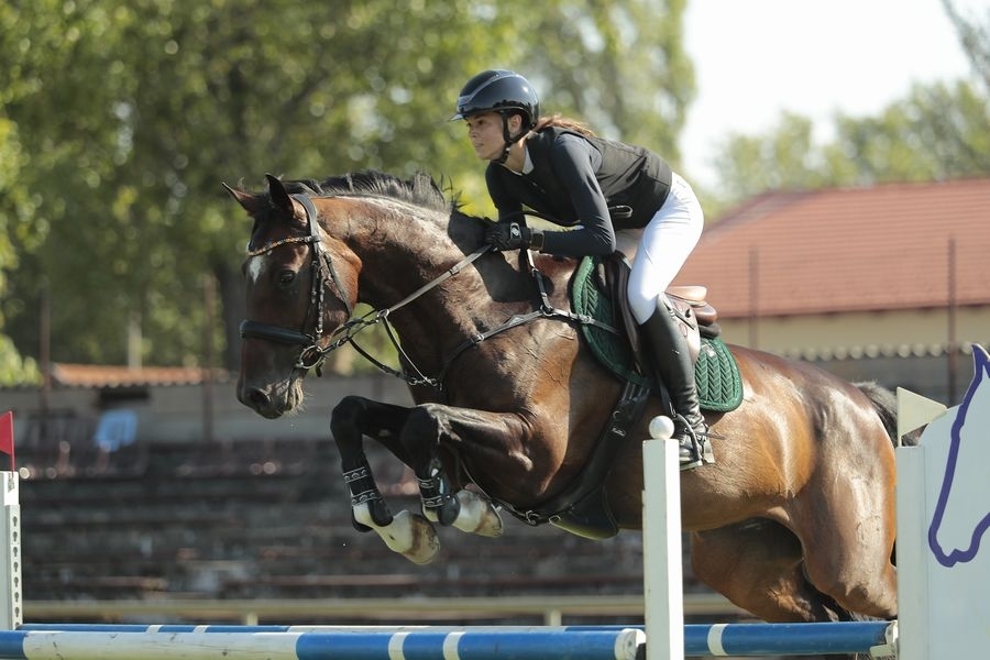 Bábolna: Léna ezüst, Csenge bronz a championátuson
